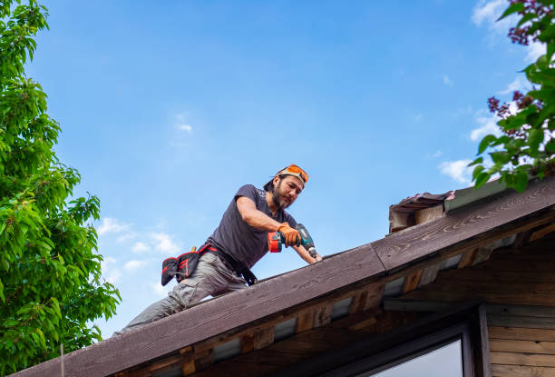 Best Green or Eco-Friendly Roofing Solutions  in Aurora, IN